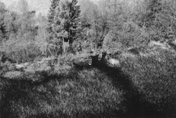 M3.JPG (27094 BYTES)