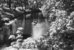 5M.JPG (33152 BYTES)