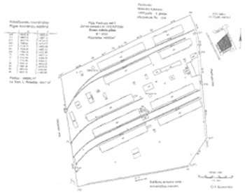 PIELRI~1.JPG (24500 BYTES)