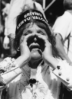 VI2.JPG (39624 BYTES)