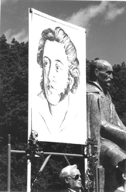 VI3.JPG (41802 BYTES)