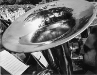 VI3.JPG (21686 BYTES)