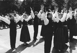 V11.JPG (25680 BYTES)