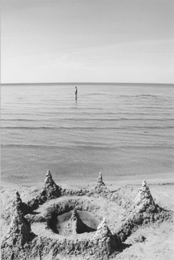 M01.JPG (34251 BYTES)