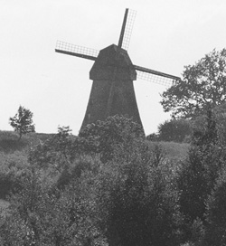 DA10.JPG (29250 BYTES)