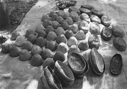 DA11.JPG (27855 BYTES)