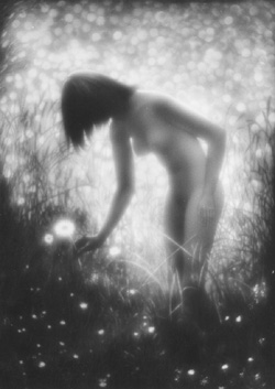 GL3.JPG (28600 BYTES)