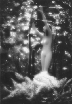 GL4.JPG (33343 BYTES)