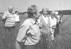 MEZ14.JPG (23611 BYTES)