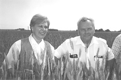 MEZ17.JPG (19234 BYTES)