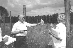 MEZ8.JPG (23218 BYTES)