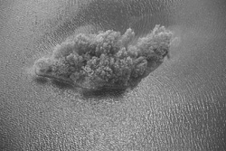 DAU10.JPG (23630 BYTES)