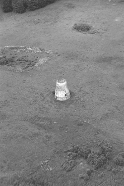 DAU8.JPG (41255 BYTES)