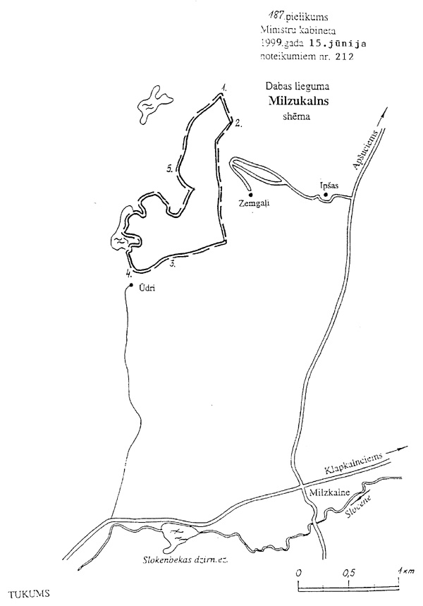 187.JPG (67525 BYTES)