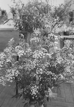 PU1.JPG (52124 BYTES)