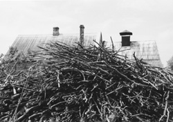 PO12.JPG (26394 BYTES)