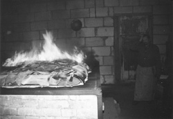 PO22.JPG (15788 BYTES)