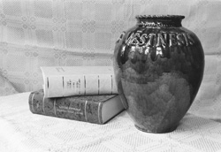 V1.JPG (20066 BYTES)