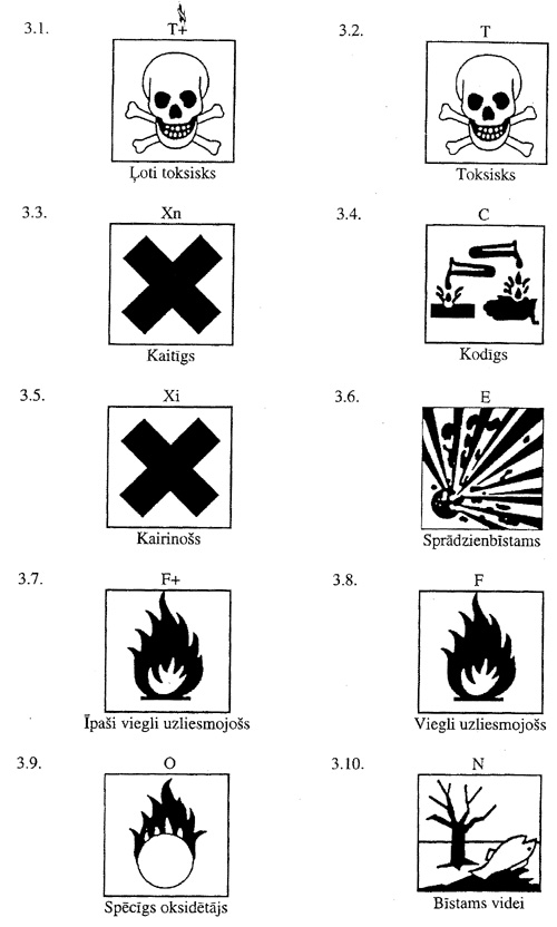 13.JPG (93757 BYTES)