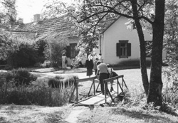 P6.JPG (30910 BYTES)