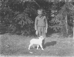 L6.JPG (26988 BYTES)