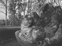 SI4.JPG (27716 BYTES)