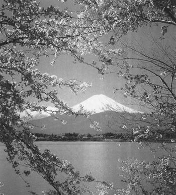 SI5.JPG (77317 BYTES)