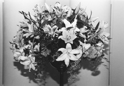 X3.JPG (24963 BYTES)