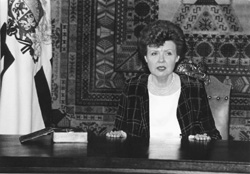 P5.JPG (24250 BYTES)