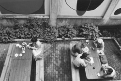 VI1.JPG (25532 BYTES)