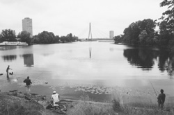 VI2.JPG (16949 BYTES)