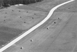 VI2.JPG (18099 BYTES)