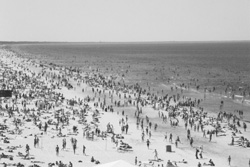 VI5.JPG (21997 BYTES)