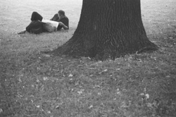 VI6.JPG (21421 BYTES)