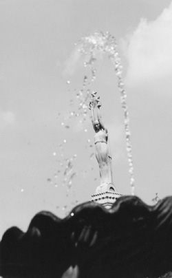 VI2.JPG (19190 BYTES)