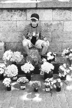 VI3.JPG (57469 BYTES)