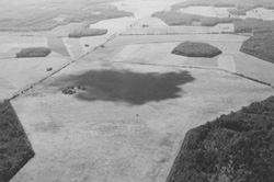 VI5.JPG (18310 BYTES)