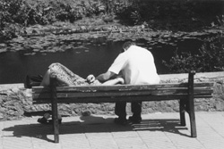 VI7.JPG (24734 BYTES)