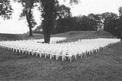 VI8.JPG (22807 BYTES)