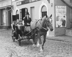 VI6.JPG (28440 BYTES)