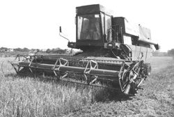 T2.JPG (22133 BYTES)