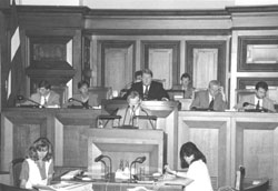 P1.JPG (16735 BYTES)