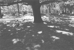 MI5.JPG (16851 BYTES)