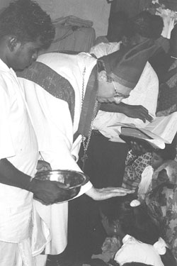 ROZ1.JPG (24217 BYTES)