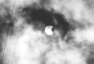 SAULE.JPG (12479 BYTES)