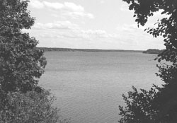 T4.JPG (15584 BYTES)