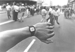 IZ6.JPG (12722 BYTES)