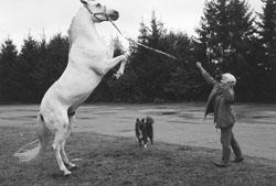 MI3.JPG (15405 BYTES)