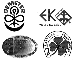 ZIMES.JPG (39095 BYTES)