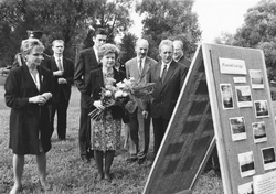 P16.JPG (29773 BYTES)